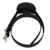 SportDog SDF-CR rechargeable receiver collar back