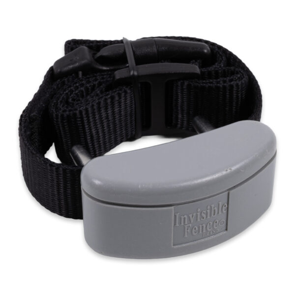 Invisible Fence R21 Platinum Receiver Collar | Preowned