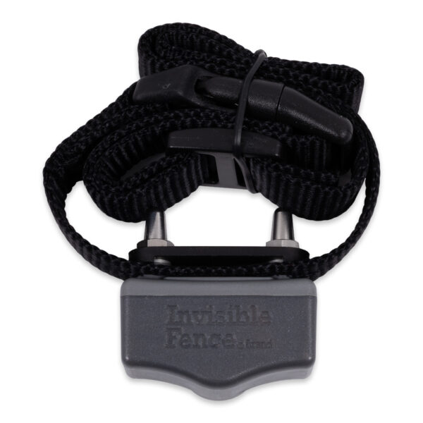 Invisible Fence Shields Receiver Collar