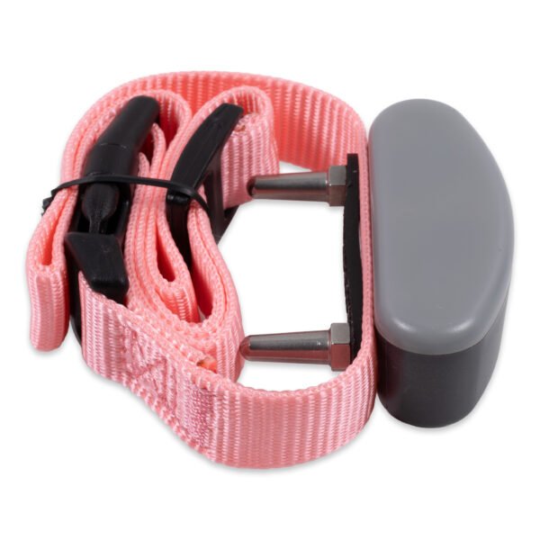 Invisible-Fence-receiver-collar-0061 Invisible Fence Receiver Collar 700 Series 10K | Pre-owned