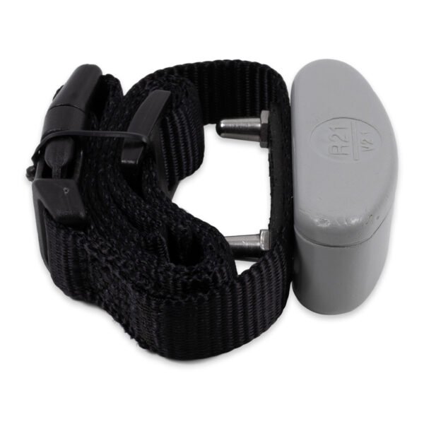 Invisible-Fence-receiver-collar-0069 Invisible Fence Receiver Collar 700 Series 10K | Pre-owned