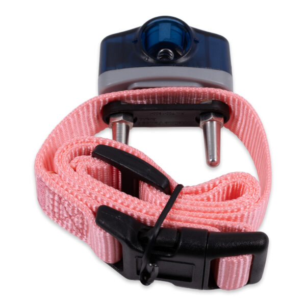 Invisible Fence MicroLite Receiver Collar 800 7K | Pre-owned