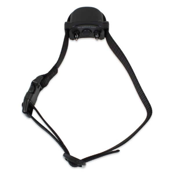 PetSafe stay & Play wireless rechargeable dog fence receiver collar