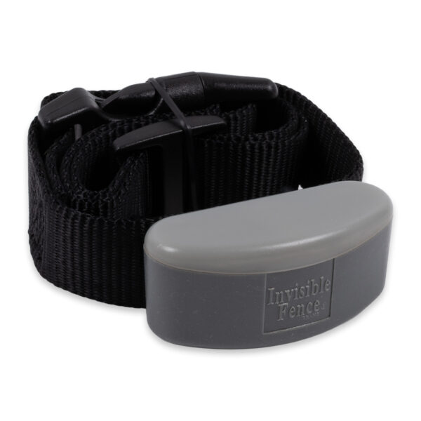 Invisible Fence Titanium Receiver Collar