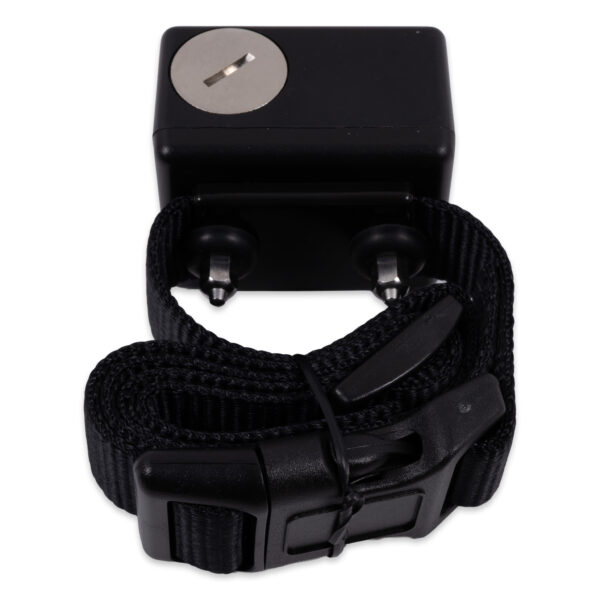 Innotek Dog Fence Receiver Collar SD-3100 SD-3000 | Preowned