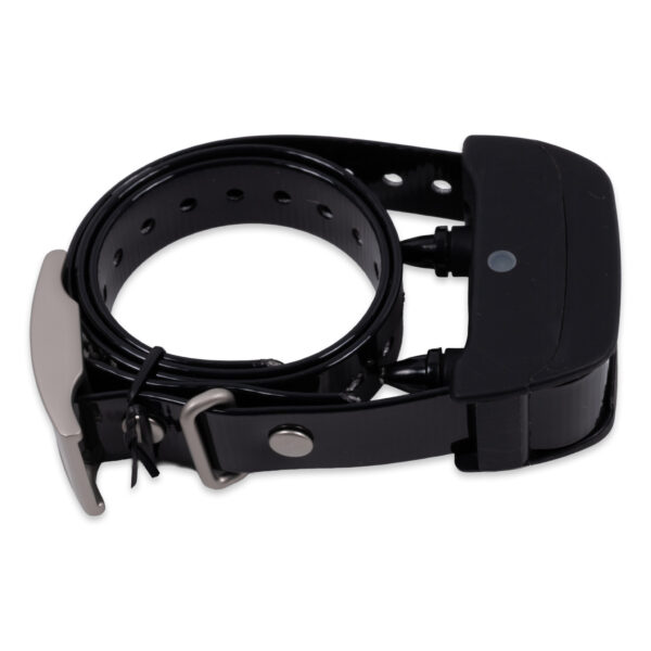 SportDog SDT00-13858 FieldTrainer 425 Collar | Preowned