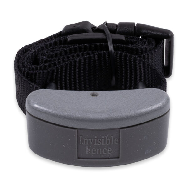 Invisible Fence R21 Titanium receiver collar front.