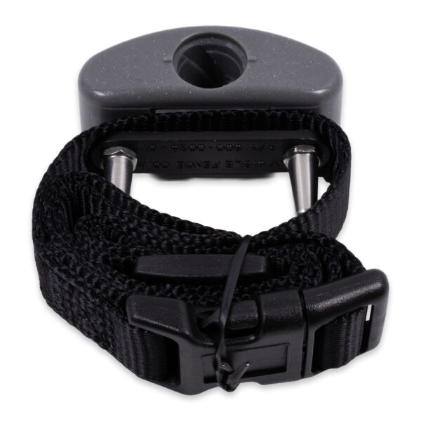 Invisible Fence R21 Titanium Receiver Collar