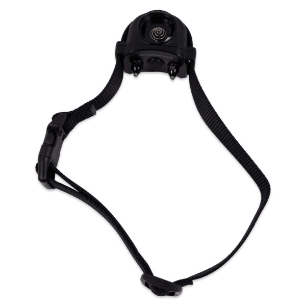 PetSafe Stay & Play Wireless Fence Battery Receiver Collar